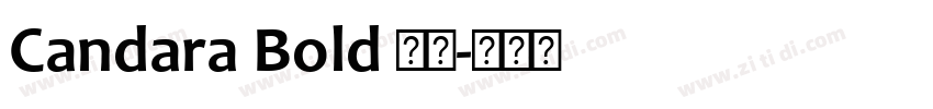 Candara Bold 粗体字体转换